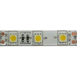 LED pásek 10mm, denní bílá, 60xLED5050/m, IP65, modul 5cm